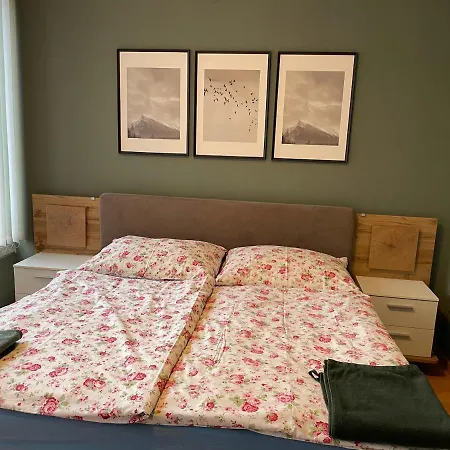 Maximilian In Old Town Διαμέρισμα Ίνσμπρουκ