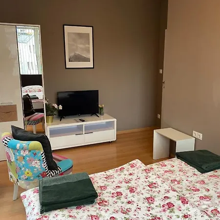 Διαμέρισμα Maximilian In Old Town Ίνσμπρουκ