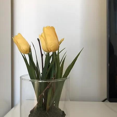 Maximilian In Old Town Διαμέρισμα Ίνσμπρουκ