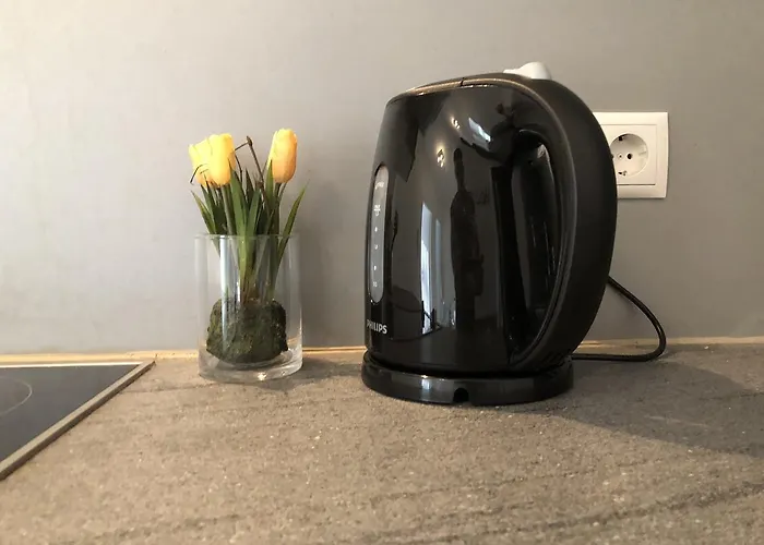 Apartmán Maximilian In Old Town Innsbruck