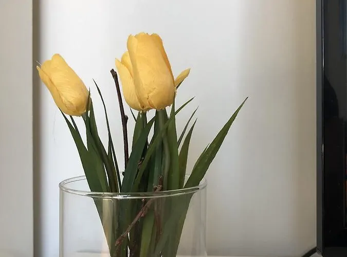 Maximilian In Old Town Apartmán Innsbruck