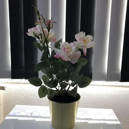 Maximilian In Old Town